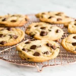 chocolate chip cookie recipe by jane